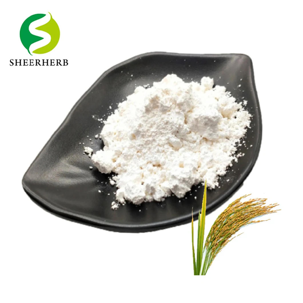 Hight Quality Rice Bran Extract Ferulic Acid Powder Synthetic Ferulic Acid
