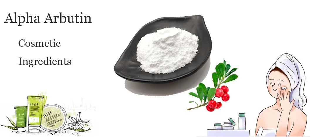 product-1060px-1 Cosmetic Raw Material Pure Organic Alpha Arbutin Powder CAS 84380-01-8 Natural Extract Bearberry Fruit Alpha Arbutin