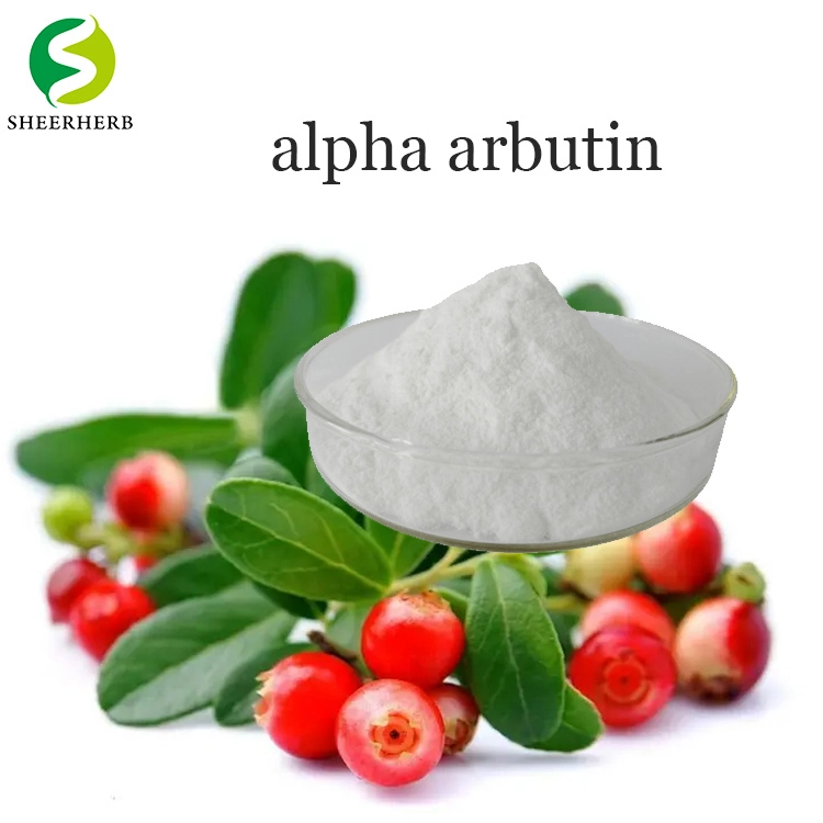 product-750px-1 Cosmetic Raw Material Pure Organic Alpha Arbutin Powder CAS 84380-01-8 Natural Extract Bearberry Fruit Alpha Arbutin