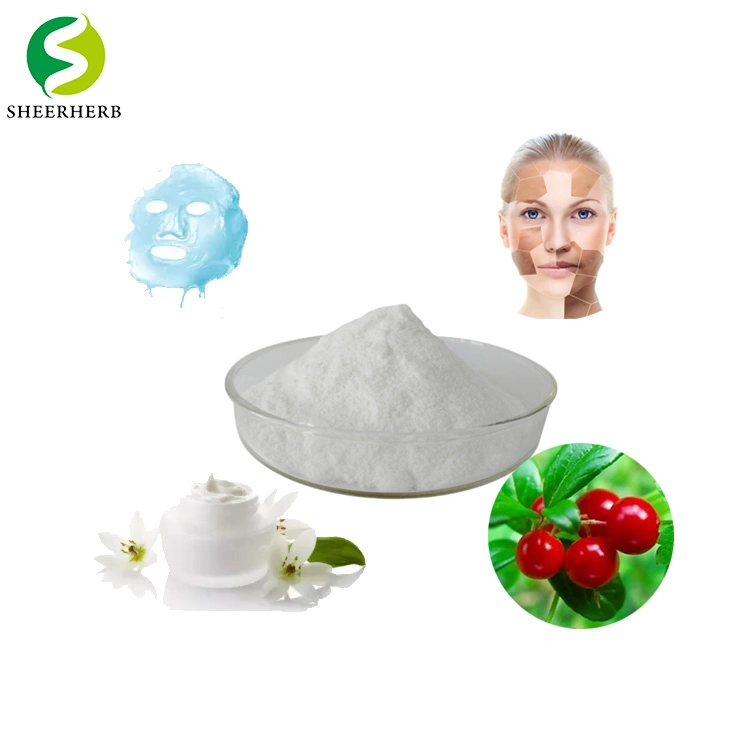 product-750px-1 Cosmetic Raw Material Pure Organic Alpha Arbutin Powder CAS 84380-01-8 Natural Extract Bearberry Fruit Alpha Arbutin