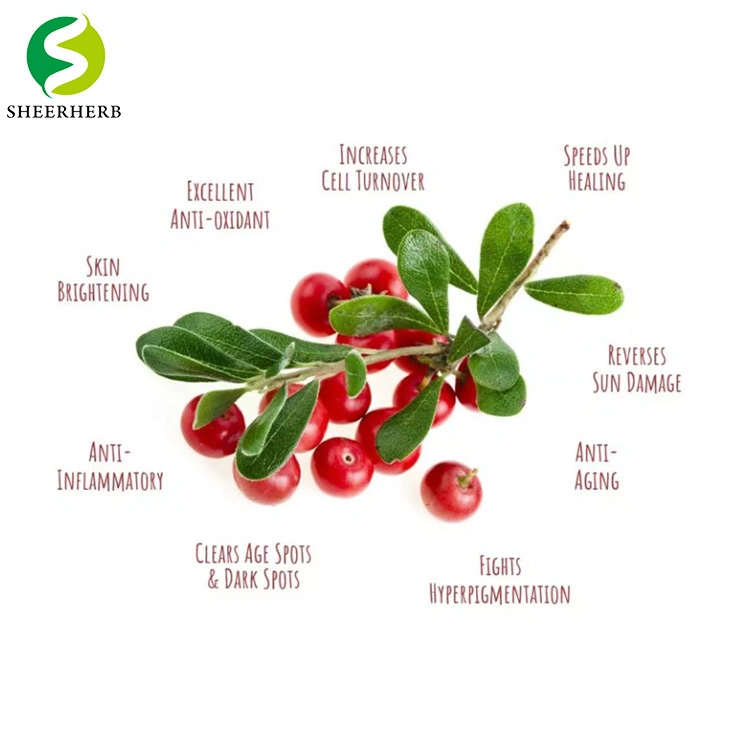 product-750px-1 Cosmetic Raw Material Pure Organic Alpha Arbutin Powder CAS 84380-01-8 Natural Extract Bearberry Fruit Alpha Arbutin