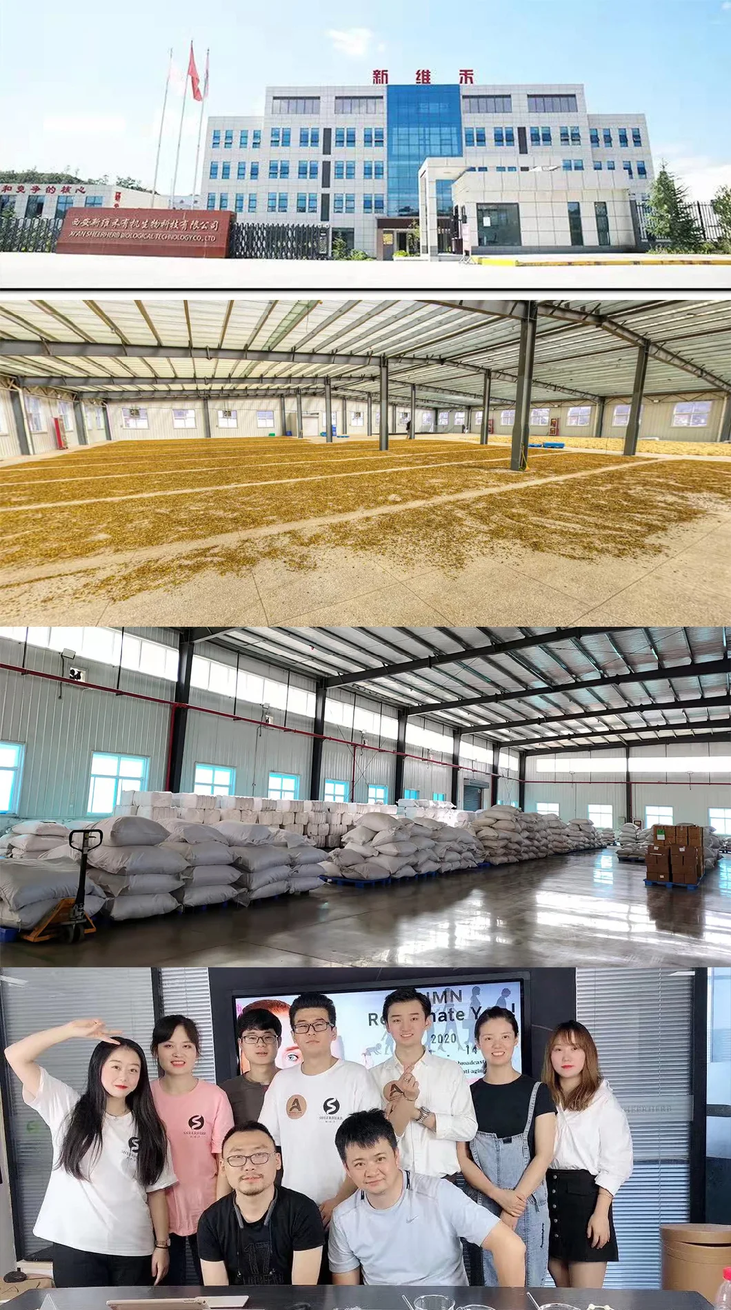 factory factory