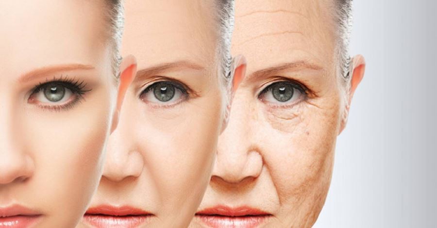 alpha lipoic acid raw material