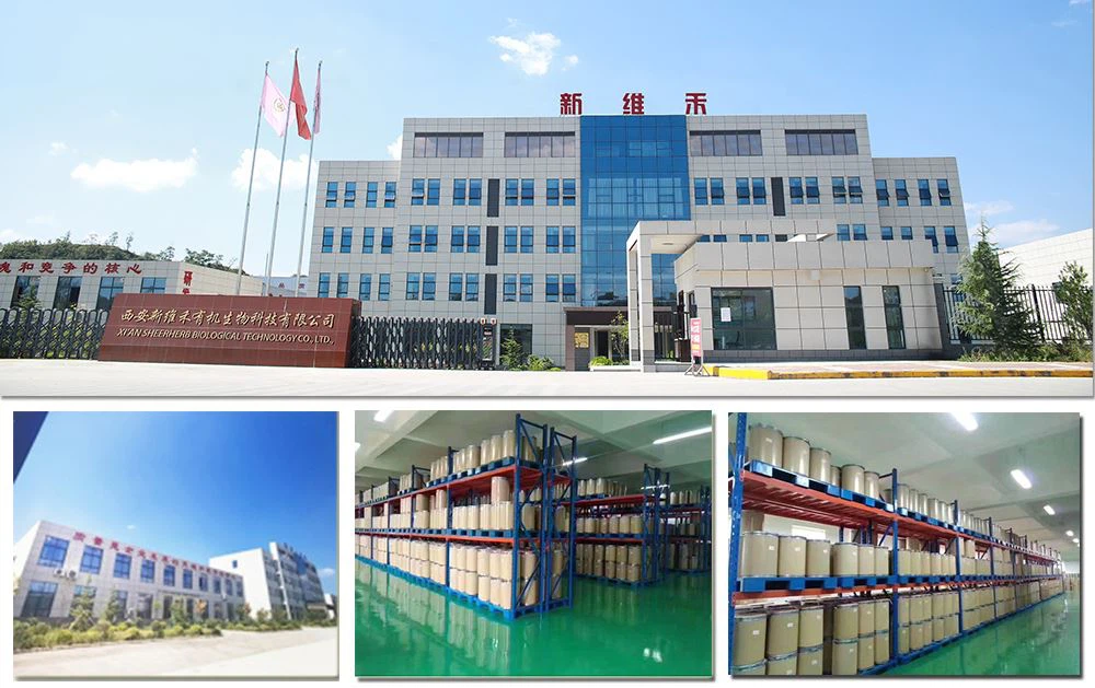 factory