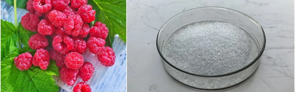 Raspberry Ketone (3)