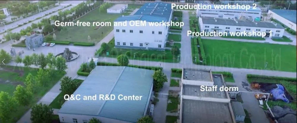 factory