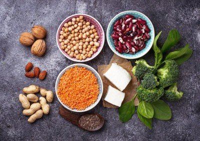 Wholesale Chickpea Protein Powder bulk Wholesale Chickpea Protein Powder bulk