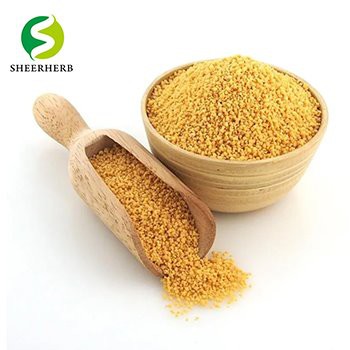 soya lecithin 110