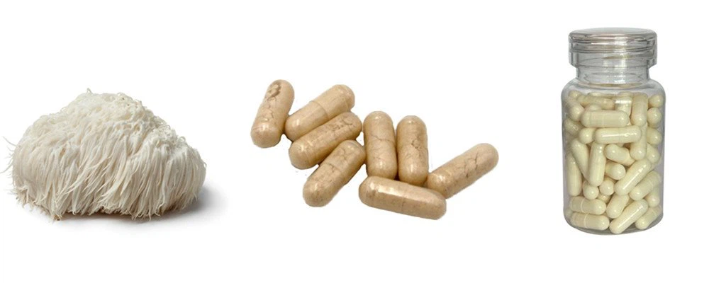 lion s mane capsule