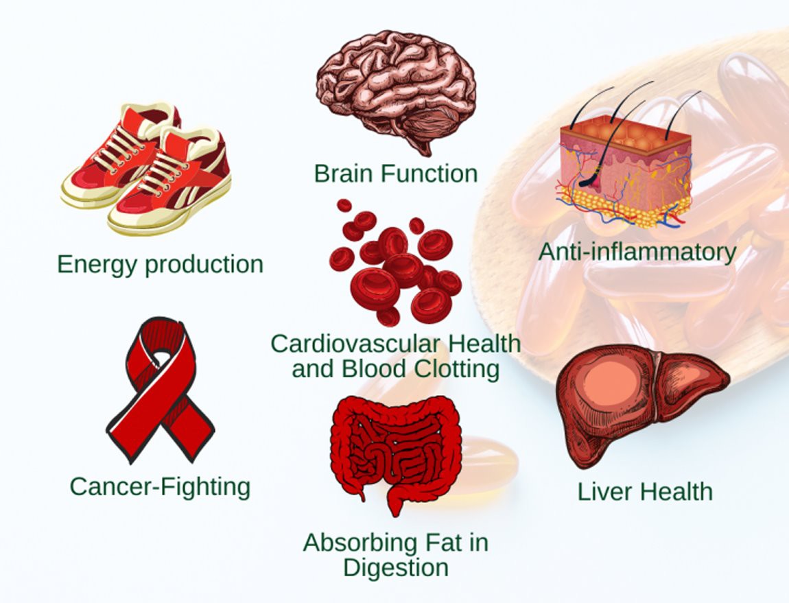lecithin