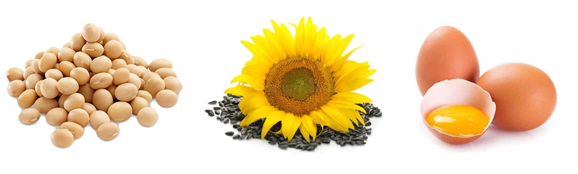 lecithin 2