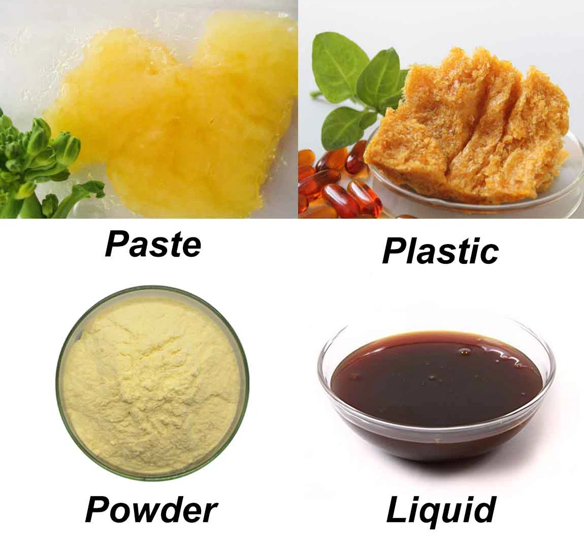 lecithin 3