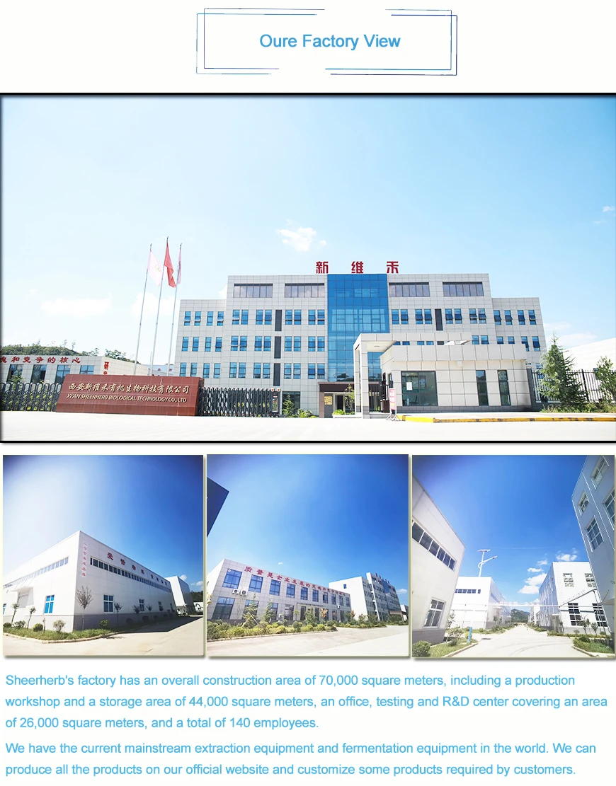 factory-1-1 factory-1-1