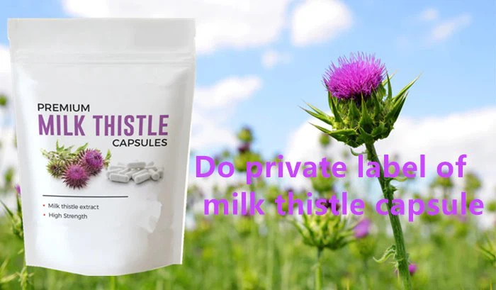private label organic milk thistle extract capsule (1)