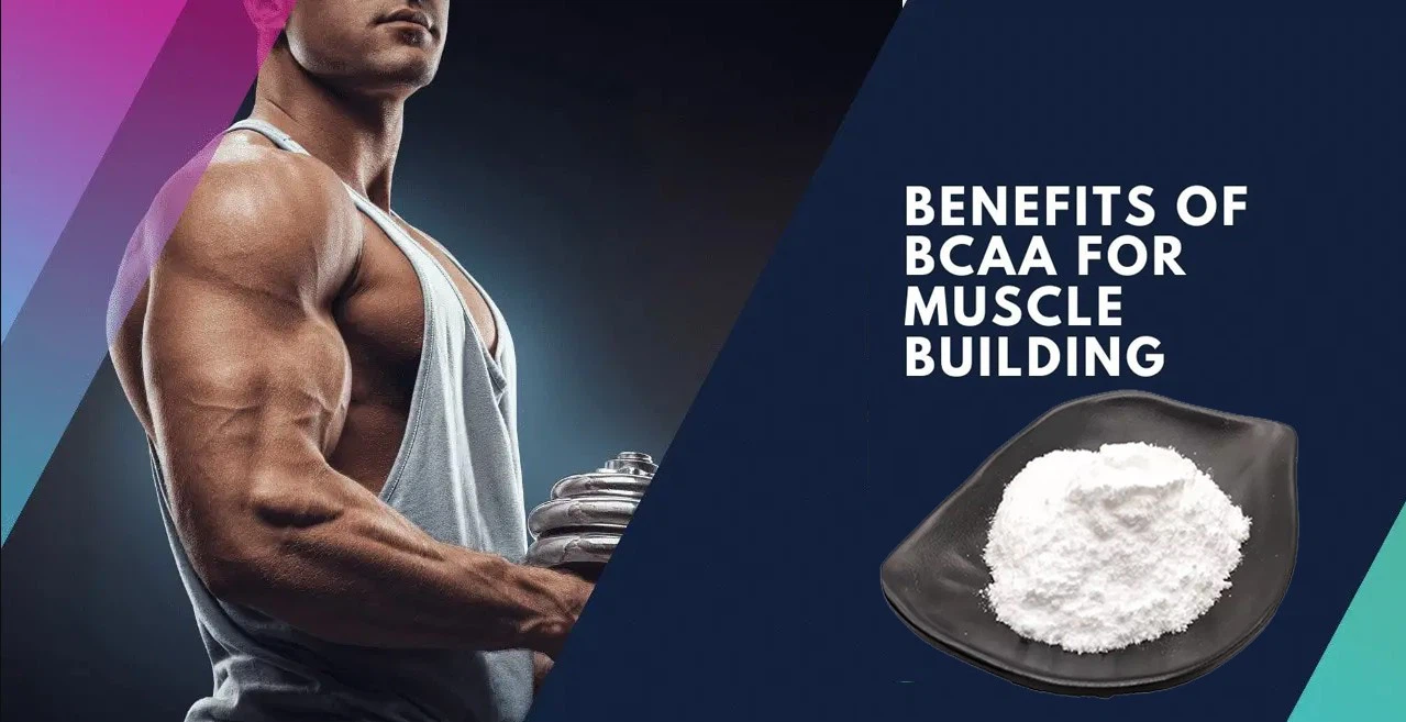 bcaa for muscle building