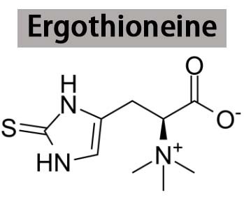Ergothioneine-1 Ergothioneine-1