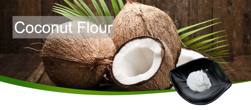 Coconut powder-2 Coconut powder-2