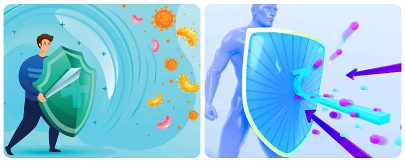 Coconut powder-3 Coconut powder-3