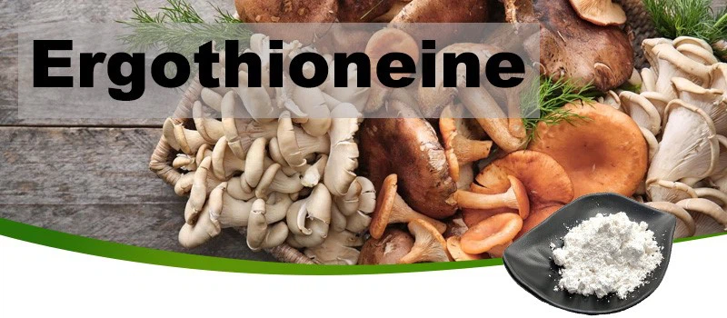 Ergothioneine 99-1 Ergothioneine 99-1