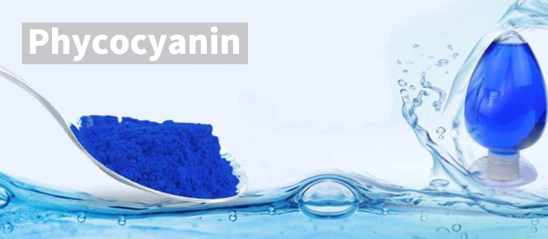 Phycocyanin-1 Phycocyanin-1