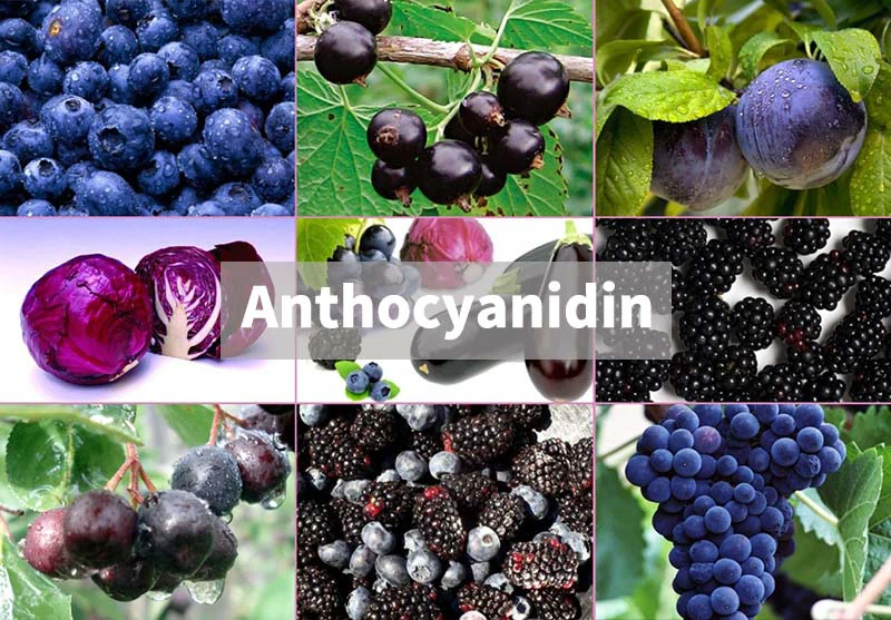 Anthocyanins-1 Anthocyanins-1