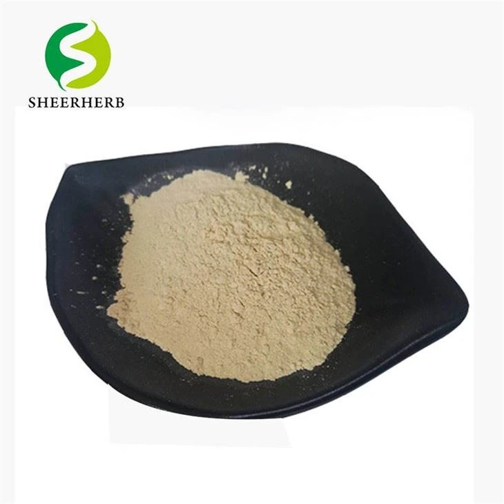 Soy Isoflavones Powder