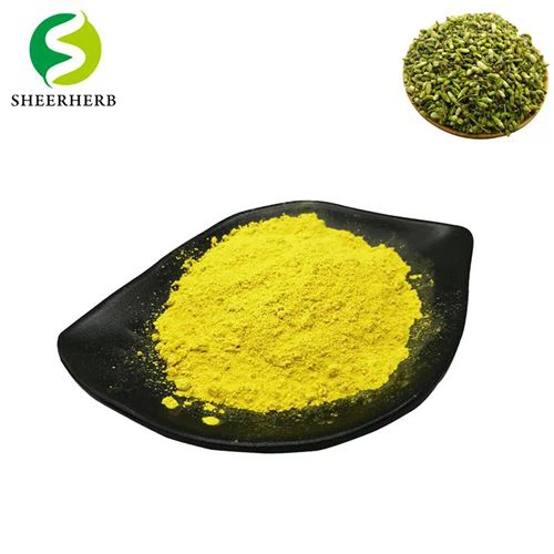 98% Quercetin Dihydrate Powder