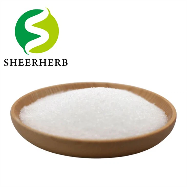 All Molecular Weight Chitosan Powder