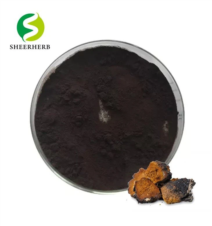 Chaga Extract Powder