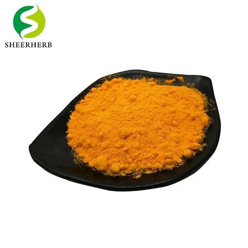 Coenzyme Q10 Capsules