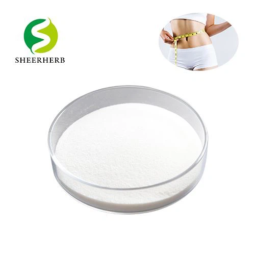 L-Carnitine Pure Powder