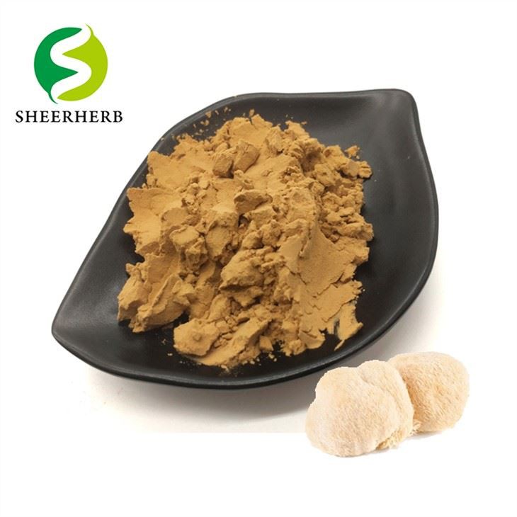 Lion Mane Extract Powder