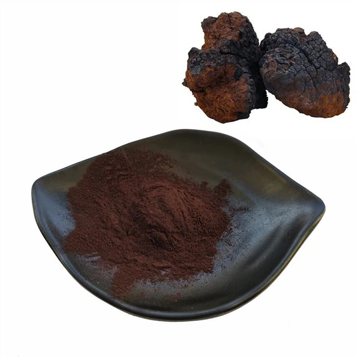 Organic Chaga Mushroom Extract Powder