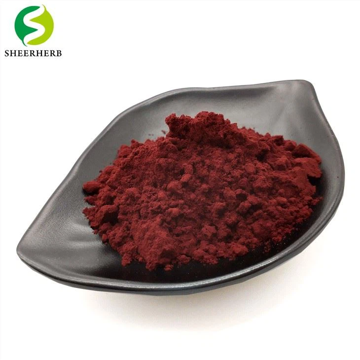 Pqq Powder