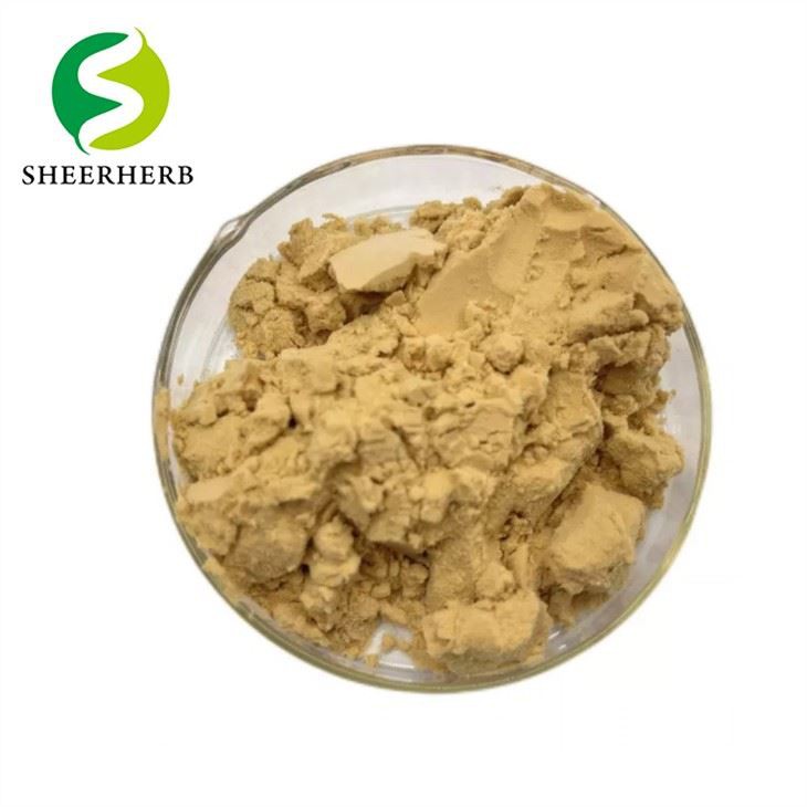 Pure Gingerol Powder