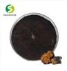Chaga Extract Powder