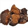 Chaga Mushroom Extract