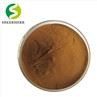 Chaga Mushroom Extract