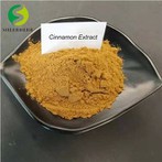 Cinnamon Extract Powder