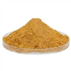 Ginger Extract Powder