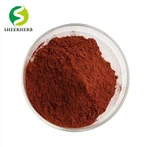Grape Seed Extract Proanthocyanidin Powder