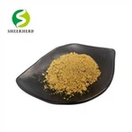 Lion's Mane Mushroom Extract Powder