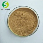Maca Extract Powder