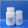 Melanotan 2 Raw Powder