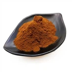 Organic Chaga Powder