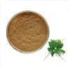 Parsley Extract