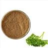 Parsley Extract