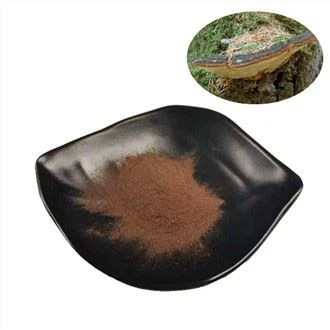 Phellinus Linteus Extract