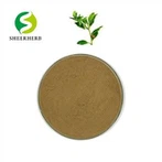 Raw Ashwagandha Powder