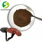 Red Reishi Mushroom Extract